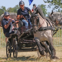 Ingeborg-Boers